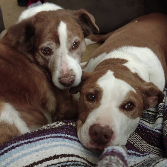 Meet your Posher, Steven - Picture 14 of 16